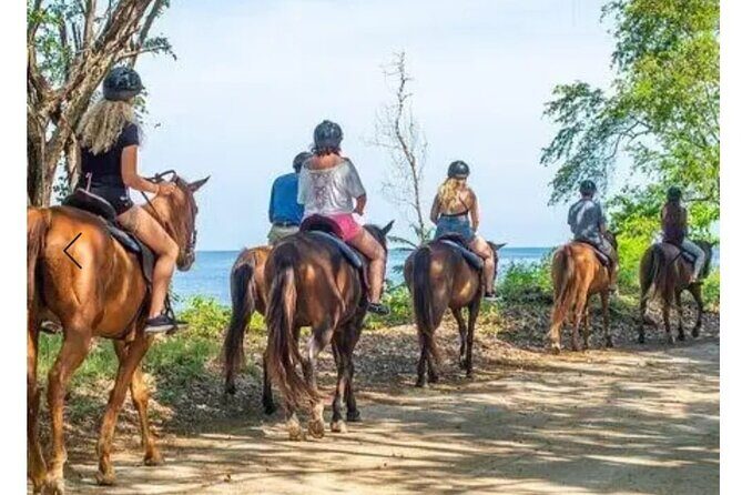 Private Transport and Airport Transfer in Montego Bay - Meeting Your Driver: Name Sign, Friendly Welcome, and Luggage Help