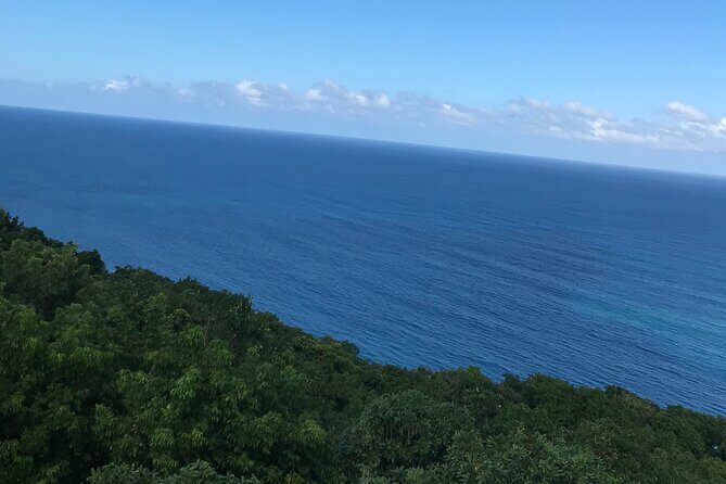 Private Transportation from Montego Bay to Mystic Mountain and Dunn's River Fall - Dunn’s River Falls: The 600-Foot Climb and What to Do After