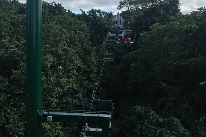 Private Transportation from Montego Bay to Mystic Mountain and Dunn's River Fall - How the 2–4 Hour Schedule Fits Your Day