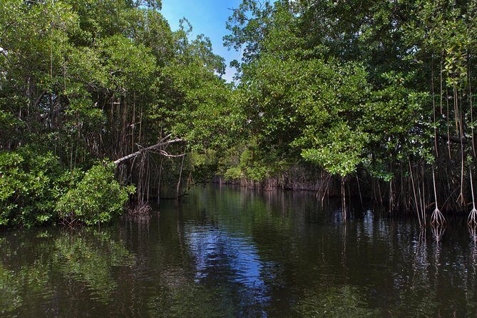 [PRIVATE] YS Falls, Black River, Pelican Bar - Entrance & Lunch - Lunch and Drinks: What Is Actually Included