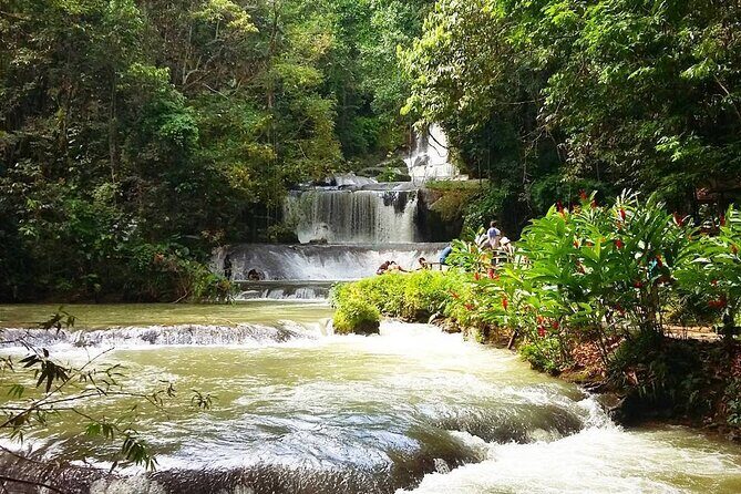 [PRIVATE] YS Falls, Black River, Pelican Bar - Entrance & Lunch - Your Guide and Private Transport From Montego Bay