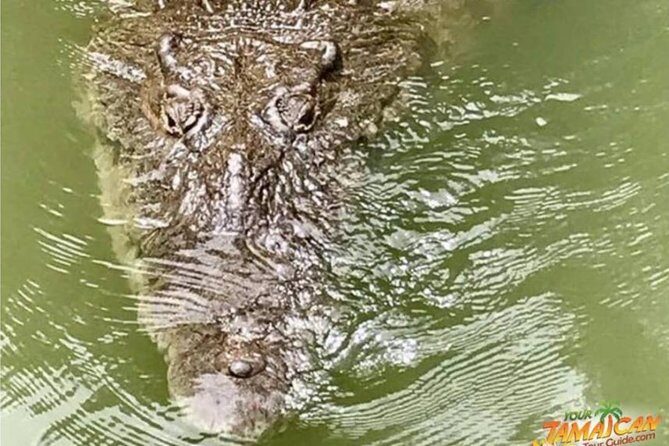 [PRIVATE] YS Falls, Black River, Pelican Bar - Entrance & Lunch - Price and Value: Is $347 Per Person Worth It?