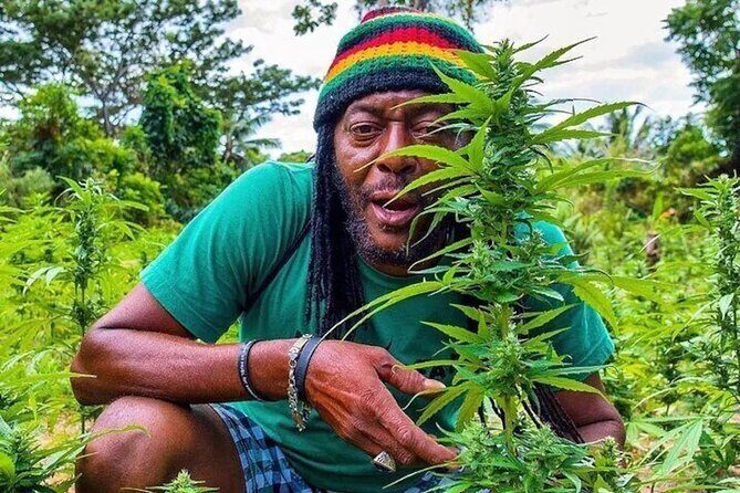 Rasta Safari Atv Experience and Rick's Cafe Private Tour - Key points to know before you go