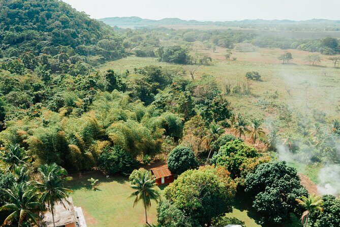 Rastafari Cultural ATV Community Experience from Montego Bay - The homemade lunch: why the meal matters on a tour like this