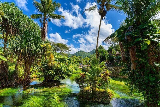 Rastafari Cultural ATV Community Experience from Montego Bay - Guides and the vibe: why this tour feels personal
