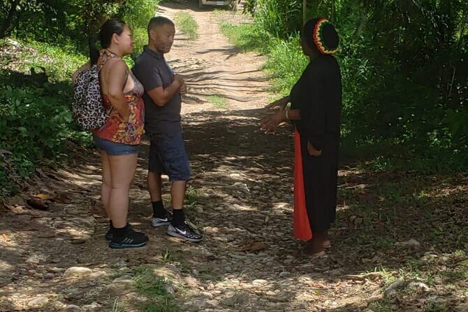 Rastafari Indigenous Village Tour - The Village Experience: Drumming, Chants, Herbs, and Real Stories