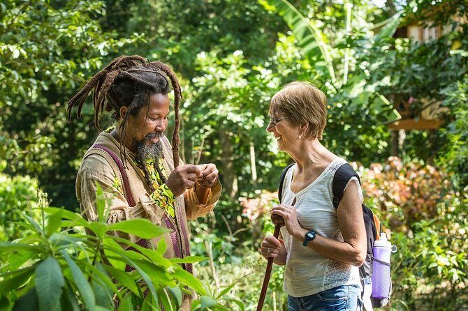 Rastafari Indigenous Village Tour - Price and What You Really Get for $250