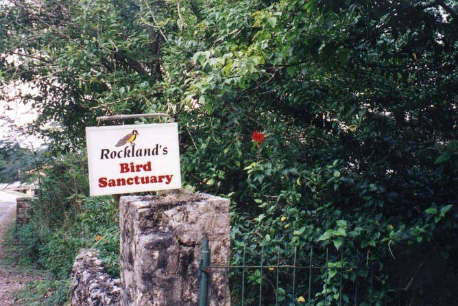 Rockland Bird Sanctuary Private Tour - Rocklands Bird Sanctuary near Montego Bay: what you’re really paying for