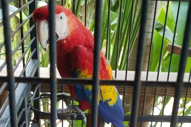 Rockland Bird Sanctuary Private Tour - Bird spotting with a guide: why it’s more than a walk