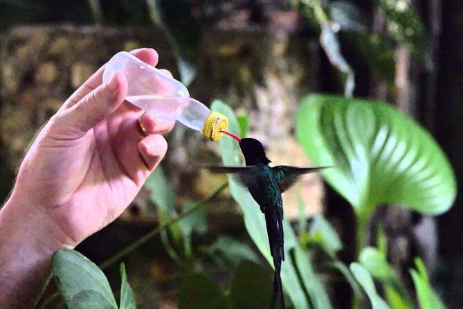 Rockland Bird Sanctuary Private Tour - Price and value: is $120 per person fair for Rocklands?