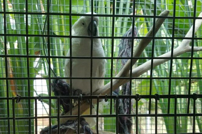 Rockland Bird Sanctuary Private Tour - What can go wrong: realistic concerns to watch