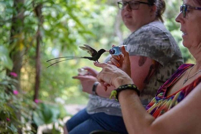 Rockland Bird Sanctuary Private Tour - Hotel transfer + short drive: why the logistics feel easy