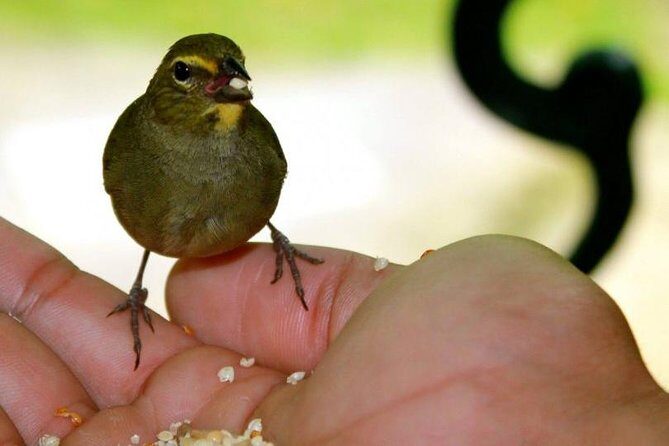 Rockland Bird Sanctuary Tour [Transportation] Hotel Pick-Up - Price and Logistics: What You Pay vs. What You Still Owe