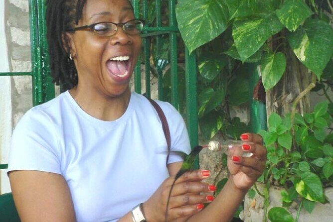 Rocklands Bird Sanctuary & City Highlights plus Shopping from Montego Bay - Key things to know before you go
