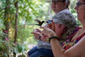 Rocklands Bird Sanctuary & City Highlights plus Shopping from Montego Bay - Sam Sharpe Square: quick context before you head into the older streets
