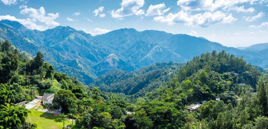 Shared/Private Full Day Blue Mountains Tour -Top Attractions - Jamaican lunch: what’s included and how to make it work