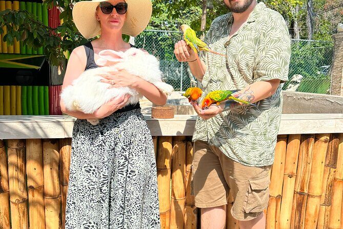 Sightseeing and Shopping Tour in Montego bay - Margaritaville After Dark: host-led fun, family-friendly energy, and water slides