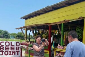 Sightseeing Tour of Montego Bay City w/ Options to Personalize - The 2–3 hour plan: how to make the timing work