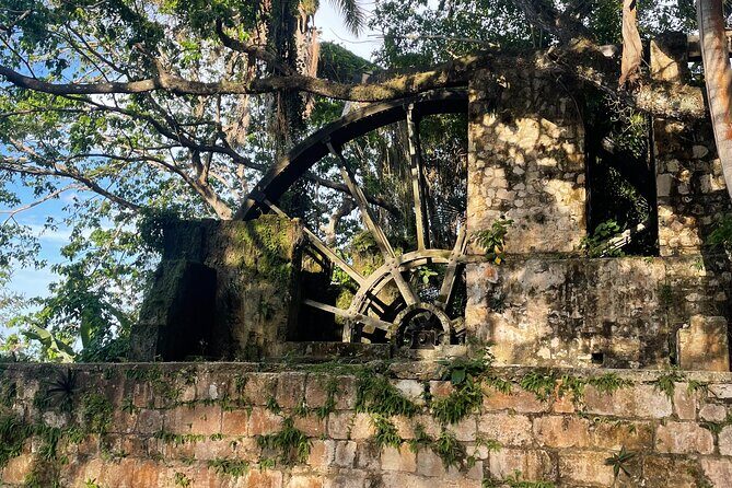 Sightseen tour and Souvenir shopping with private transportation in Montego Bay - Price and logistics: what $100 really buys you