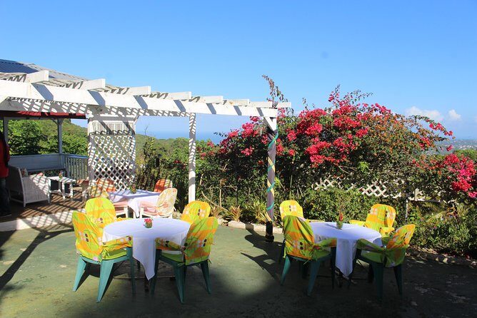 Skip the Line: Ahhh Ras Natango Gallery and Garden Admission Tickets - A hillside garden with birds, views, and art