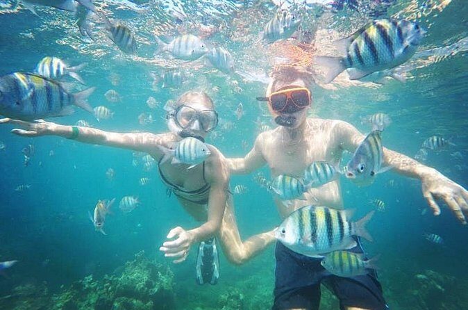 Snorkeling and Shopping in Montego Bay with Hotel pickup - What You’re Paying For: Value Beyond the Snorkeling