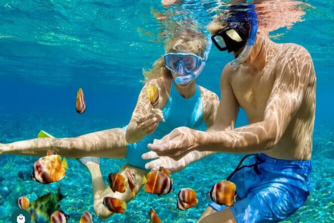 Snorkeling and Shopping in Montego Bay with Hotel pickup - Kelly’s Water Sports Jamaica: How the Operator Fits This Experience