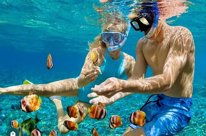 Snorkeling and Shopping in Montego Bay with Hotel pickup - Group Setup, Mobile Tickets, and How the Day Runs