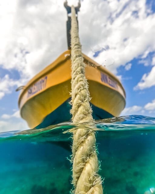 Snorkeling in Montego Bay with Transportation - Price and value: $133 for speed, guidance, and transport