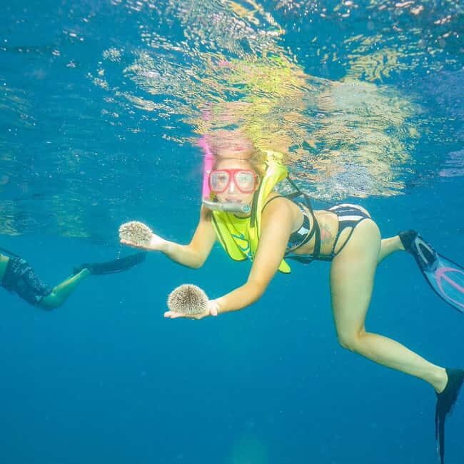 Snorkeling in Montego Bay with Transportation - Pick-up points across Montego Bay: saving time (and avoiding mix-ups)
