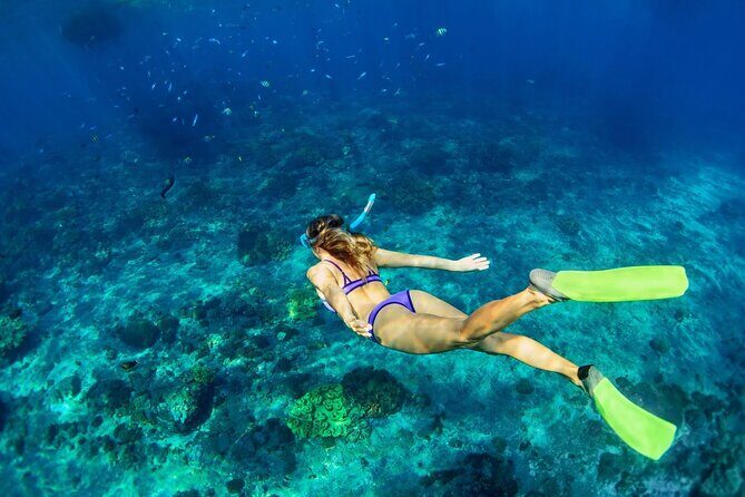 Sunset Catamaran cruise, Snorkeling and Rick's Cafe from Mobay - Margaritaville Negril: Boarding Base and Beach-to-Boat Flow