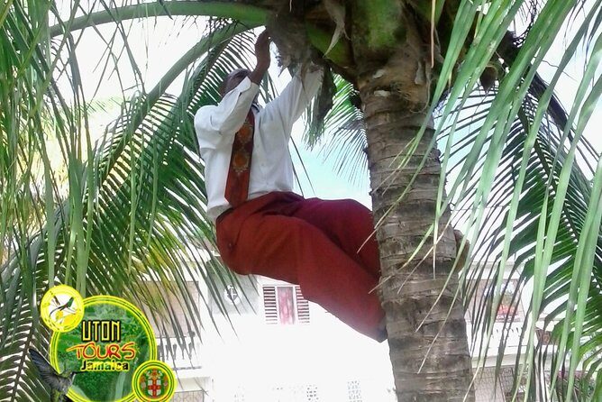 The AMAZING Montego Bay Tour - Entering Doctor’s Cave Beach: the easiest win for a short day