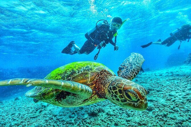 Two Tank Dive in Montego Bay w/Certified Divers - What you’re really paying for: $155 and the “included” value