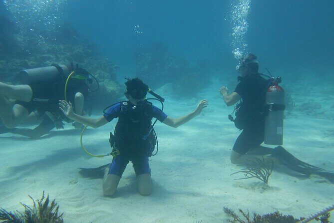 Two Tank Dive in Montego Bay w/Certified Divers - Certified divers only: how your level shapes the whole experience