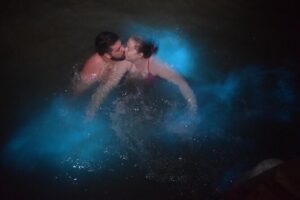 World famous Luminous lagoon Night tour with transportation - Private Transportation With Wi-Fi and Air Conditioning