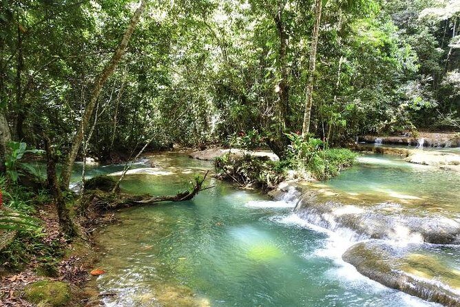 YS Falls and Appleton Estate Private Rum Tour - Who this tour fits best (and who should reconsider)