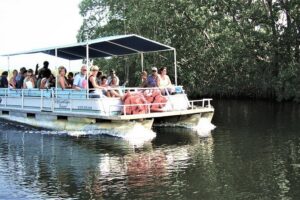 YS Falls and Black River Safari Guided Tour from Montego Bay and Grand Palladium - Black River lunch: fuel at the dock before the wildlife cruise