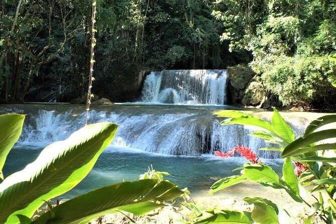 YS Falls and Black River Safari Guided Tour from Montego Bay and Grand Palladium - Should you book this tour or skip it?