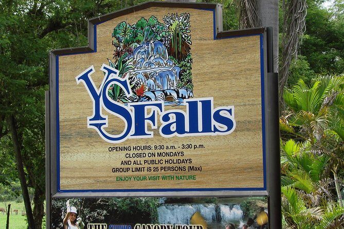 YS Falls, Black River Safari, and Floyd's Pelican Bar Day-Trip (Transportation) - Private, air-conditioned transport that makes a long day feel manageable