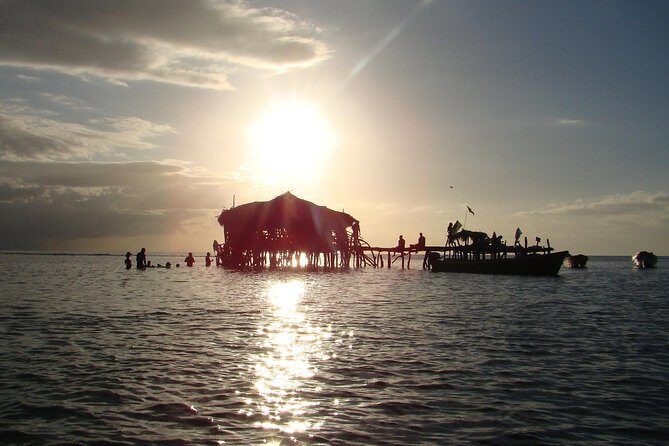 YS Falls, Black River Safari, and Floyd's Pelican Bar Day-Trip (Transportation) - Swaby’s Swamp Safari on the Black River: mangroves, wetland cruising, and crocodile chances