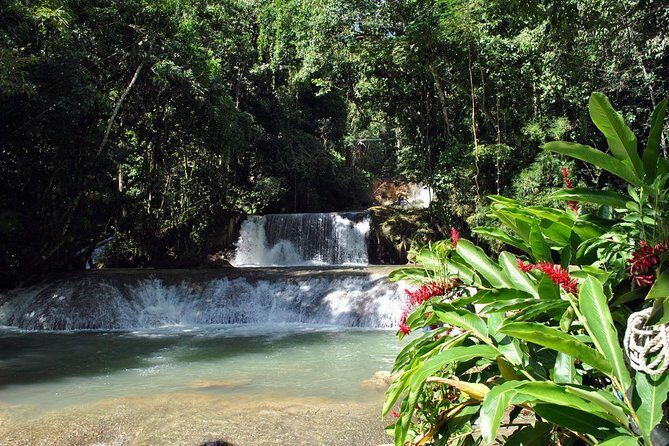 YS Falls, Black River Safari, Appleton Rum Tour OR Pelican Bar (Choose Up to 3) - How this private South Coast tour actually plays out