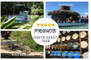 YS Falls, Black River Safari, Appleton Rum Tour OR Pelican Bar (Choose Up to 3) - Black River Safari: a crocodile-focused boat ride in St. Elizabeth