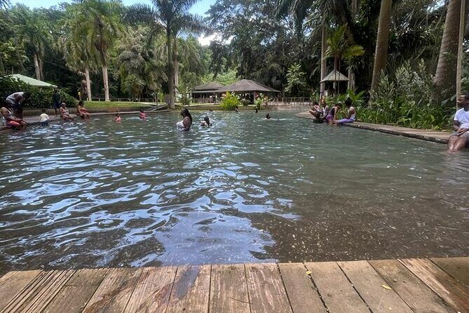 YS Falls, Black River Safari, Appleton Rum Tour OR Pelican Bar (Choose Up to 3) - Appleton Estate Rum Experience: factory tour plus tastings
