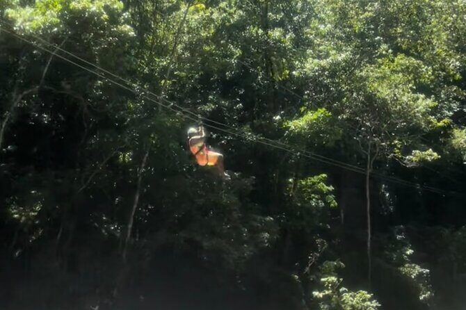 YS Falls, Black River Safari, Appleton Rum Tour OR Pelican Bar (Choose Up to 3) - Floyd’s Pelican Bar: driftwood, sand dunes, and a boat ride