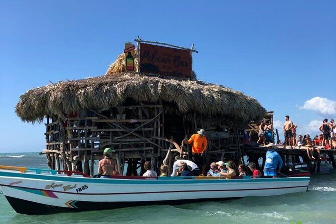 YS Falls, Black River Safari, Appleton Rum Tour OR Pelican Bar (Choose Up to 3) - Price and logistics: where the value really comes from