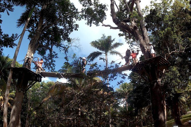 Zip Line over the Dunns River Falls - Why Ziplining Dunn’s River Works as a Half-Day