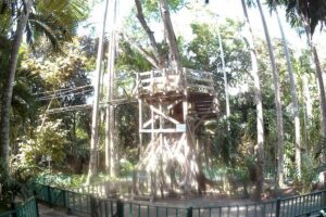 Zip Line over the Dunns River Falls - Getting There From Montego Bay: Pickup, Drive, and Timing