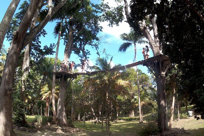 Zip Line over the Dunns River Falls - Skip the Line With a Special Access Pass