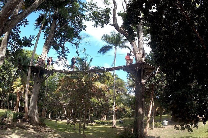 Zip Line over the Dunns River Falls - The Zipline Over Dunn’s River: Safety Setup and Real Course Length