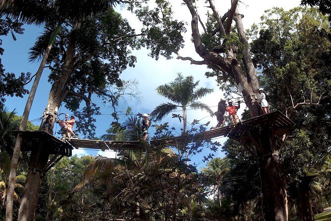 Zip Line over the Dunns River Falls - Waterfall Time: Terraces, Views, and a Good Pace