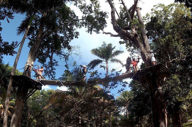 Zip Line over the Dunns River Falls - What’s Included in the $192.67 Price (and Why It Can Be Good Value)
